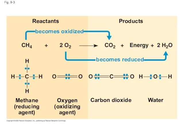 Fig. 9-3 Reactants becomes oxidized becomes reduced Products Methane (reducing agent)