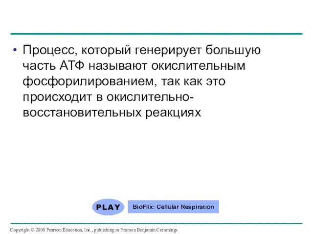 Процесс, который генерирует большую часть АТФ называют окислительным фосфорилированием, так как