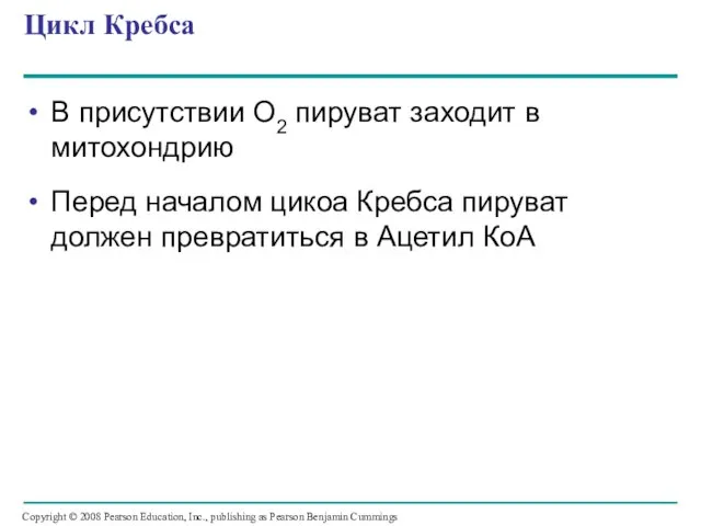 В присутствии О2 пируват заходит в митохондрию Перед началом цикоа Кребса