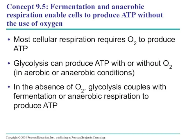 Concept 9.5: Fermentation and anaerobic respiration enable cells to produce ATP