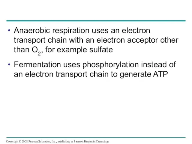 Anaerobic respiration uses an electron transport chain with an electron acceptor