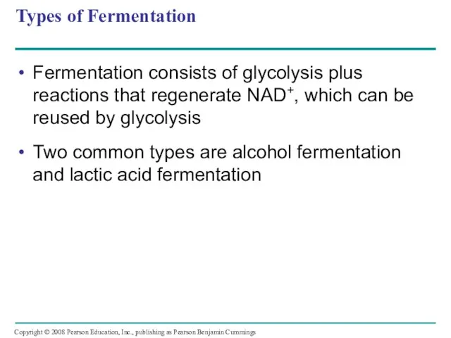 Types of Fermentation Fermentation consists of glycolysis plus reactions that regenerate