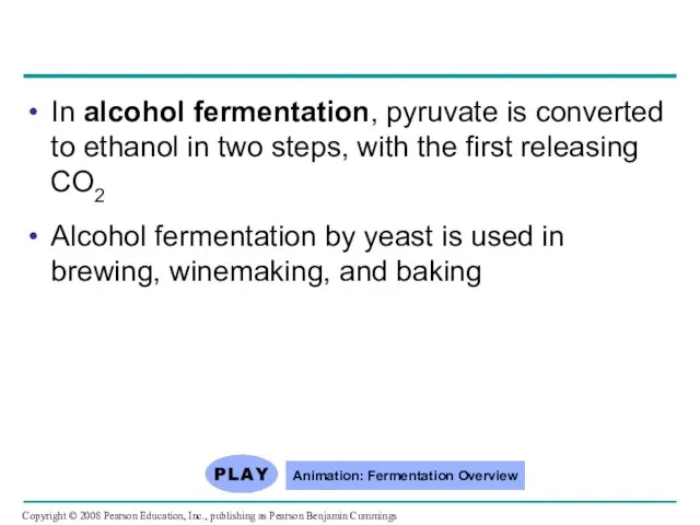 In alcohol fermentation, pyruvate is converted to ethanol in two steps,