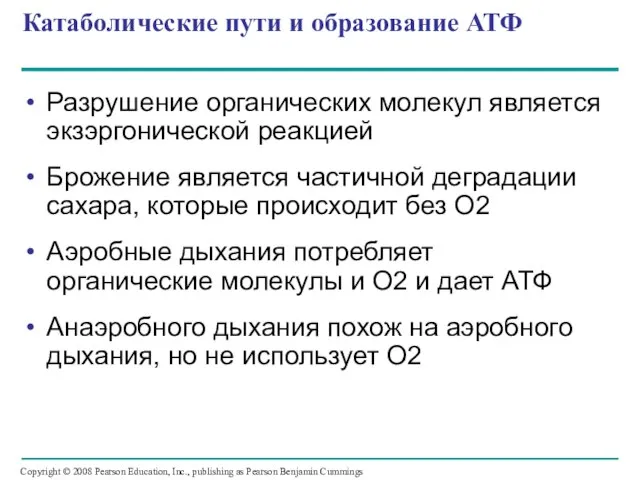 Катаболические пути и образование АТФ Разрушение органических молекул является экзэргонической реакцией