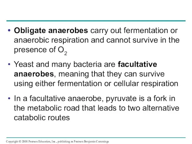 Obligate anaerobes carry out fermentation or anaerobic respiration and cannot survive
