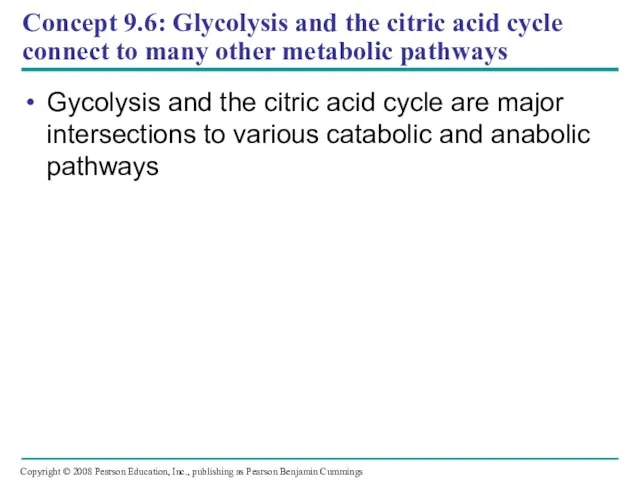 Concept 9.6: Glycolysis and the citric acid cycle connect to many