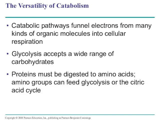 The Versatility of Catabolism Catabolic pathways funnel electrons from many kinds