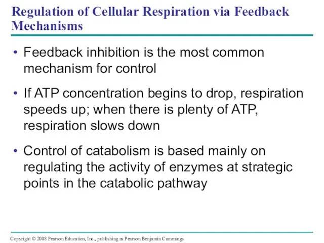 Regulation of Cellular Respiration via Feedback Mechanisms Feedback inhibition is the
