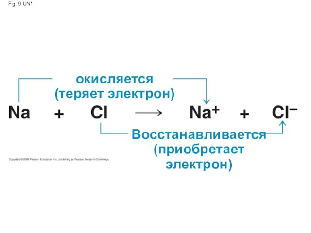 Fig. 9-UN1 окисляется (теряет электрон) Восстанавливается (приобретает электрон)