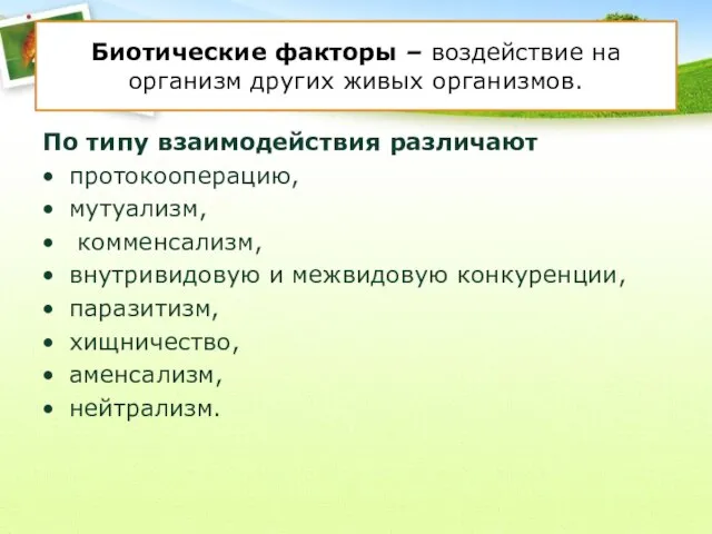 Биотические факторы – воздействие на организм других живых организмов. По типу