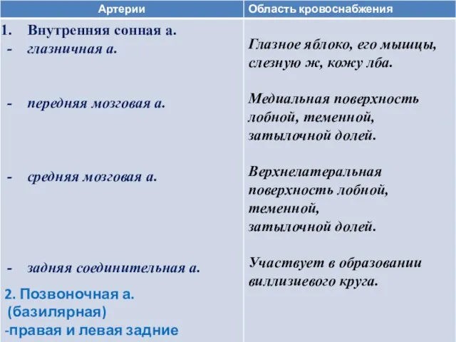 2. Позвоночная а. (базилярная) -правая и левая задние мозговые а.)