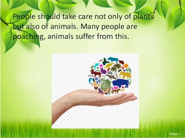 People should take care not only of plants but also of