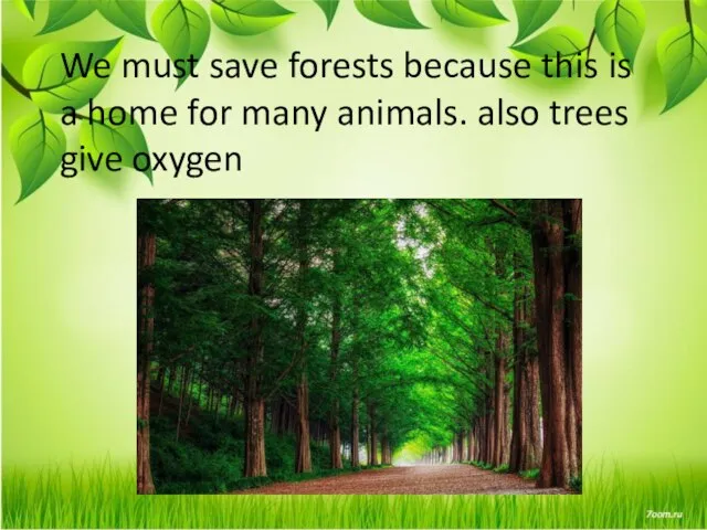 We must save forests because this is a home for many animals. also trees give oxygen