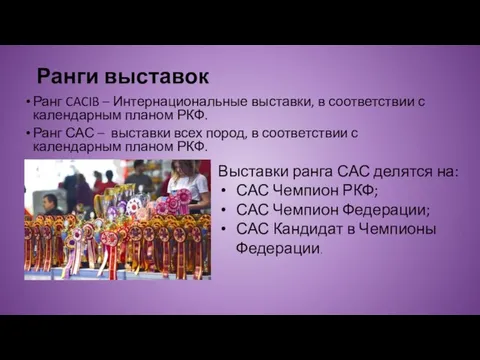 Ранги выставок Ранг CACIB – Интернациональные выставки, в соответствии с календарным