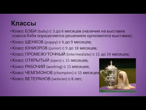 Классы Класс БЭБИ (baby) с 3 до 6 месяцев (наличие на