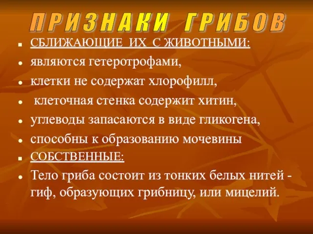 СБЛИЖАЮЩИЕ ИХ С ЖИВОТНЫМИ: являются гетеротрофами, клетки не содержат хлорофилл, клеточная