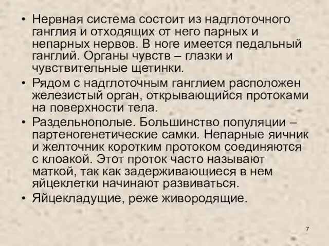 Нервная система состоит из надглоточного ганглия и отходящих от него парных