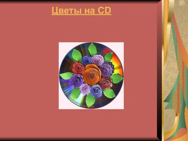 Цветы на CD