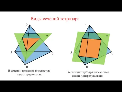 Виды сечений тетраэдра C B A C B A В сечении