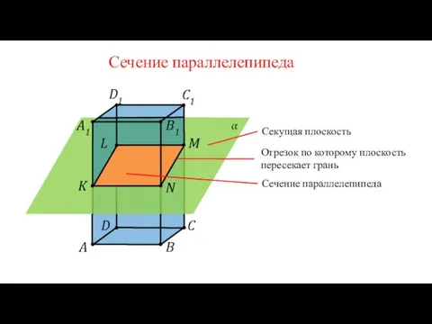 Сечение параллелепипеда A B C D B1 C1 D1 A1 M