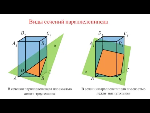 Виды сечений параллелепипеда A C D B1 C1 D1 A1 B