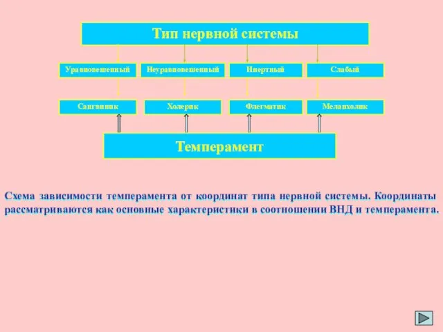 Тип нервной системы Уравновешенный Неуравновешенный Инертный Слабый Сангвиник Холерик Флегматик Меланхолик