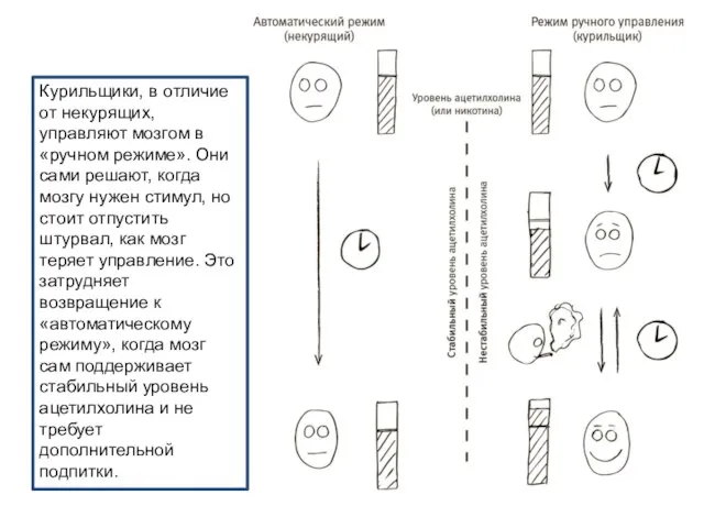 Курильщики, в отличие от некурящих, управляют мозгом в «ручном режиме». Они