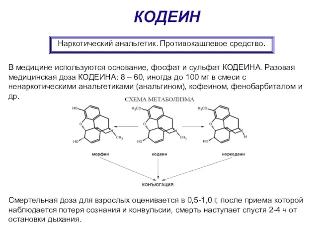 КОДЕИН В медицине используются основание, фосфат и сульфат КОДЕИНА. Разовая медицинская