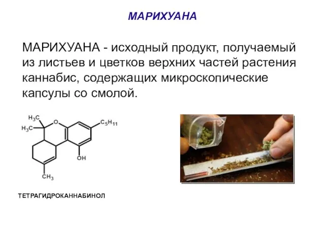 МАРИХУАНА МАРИХУАНА - исходный продукт, получаемый из листьев и цветков верхних