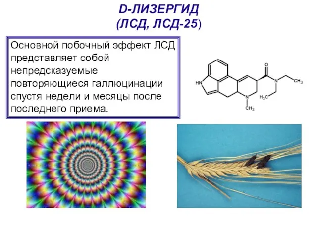 D-ЛИЗЕРГИД (ЛСД, ЛСД-25) Основной побочный эффект ЛСД представляет собой непредсказуемые повторяющиеся