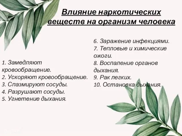 Влияние наркотических веществ на организм человека 1. Замедляют кровообращение. 2. Ускоряют