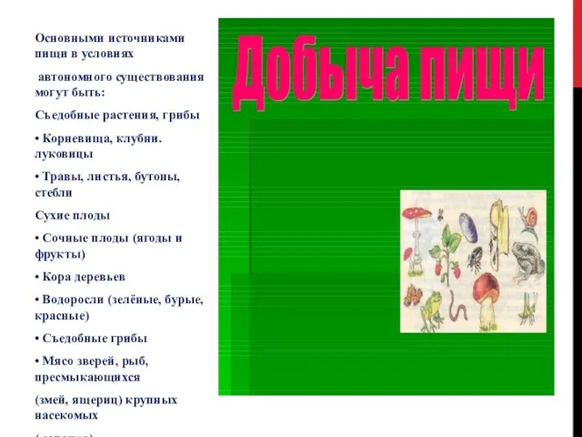 Основными источниками пищи в условиях автономного существования могут быть: Съедобные растения,