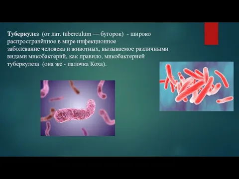Туберкулез (от лат. tuberculum — бугорок) - широко распространённое в мире