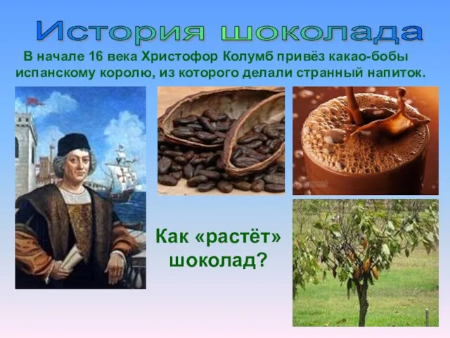 История шоколада В начале 16 века Христофор Колумб привёз какао-бобы испанскому