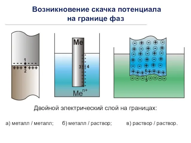 Возникновение скачка потенциала на границе фаз Двойной электрический слой на границах: