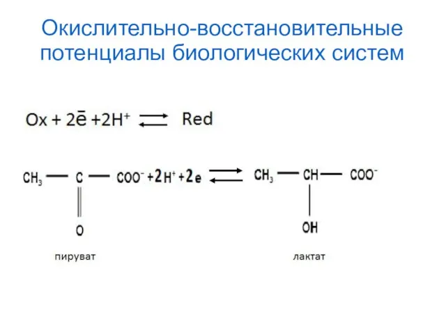 Окислительно-восстановительные потенциалы биологических систем