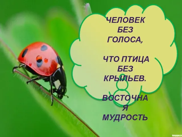 ЧЕЛОВЕК БЕЗ ГОЛОСА, ЧТО ПТИЦА БЕЗ КРЫЛЬЕВ. ВОСТОЧНАЯ МУДРОСТЬ