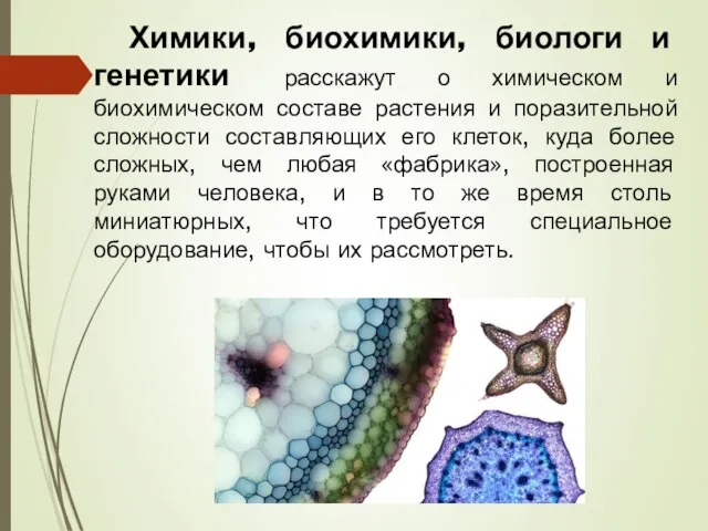 Химики, биохимики, биологи и генетики расскажут о химическом и биохимическом составе