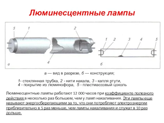 Люминесцентные лампы а — вид в разрезе, б — конструкция; 1-