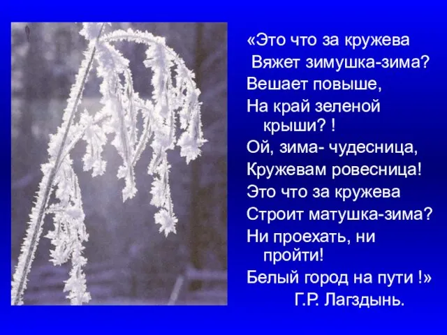 «Это что за кружева Вяжет зимушка-зима? Вешает повыше, На край зеленой