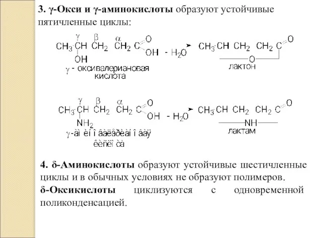 3. γ-Окси и γ-аминокислоты образуют устойчивые пятичленные циклы: 4. δ-Аминокислоты образуют