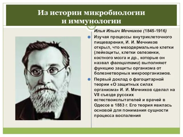Из истории микробиологии и иммунологии Илья Ильич Мечников (1845-1916) Изучая процессы