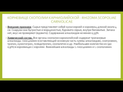 КОРНЕВИЩЕ СКОПОЛИИ КАРНИОЛИЙСКОЙ - RHIZOMA SCOPOLIAE CARNIOLICAE Внешние признаки. Сырье представляет