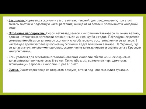 Заготовка. Корневища скополии заготавливают весной, до плодоношения, при этом выкапывают всю