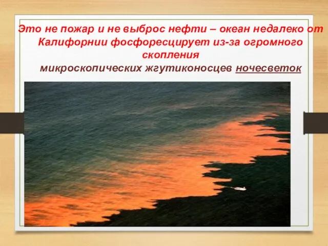 Это не пожар и не выброс нефти – океан недалеко от