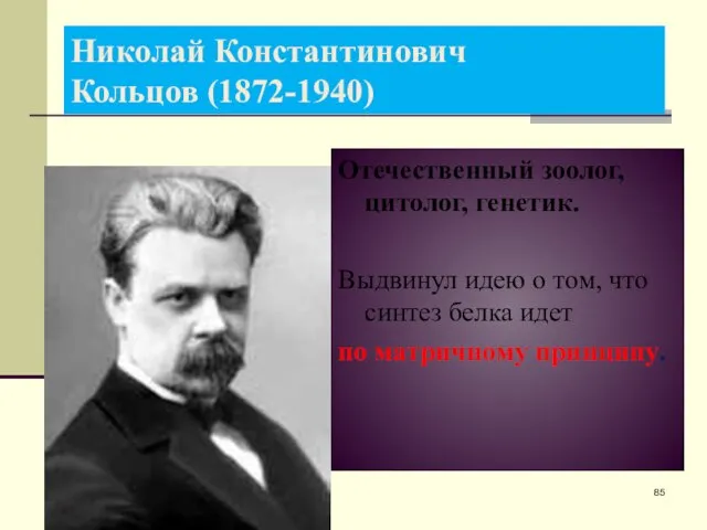 Николай Константинович Кольцов (1872-1940) Отечественный зоолог, цитолог, генетик. Выдвинул идею о