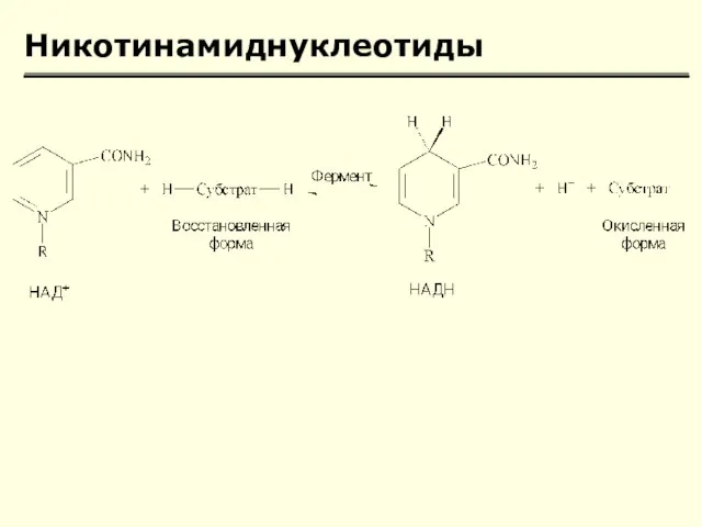 Никотинамиднуклеотиды