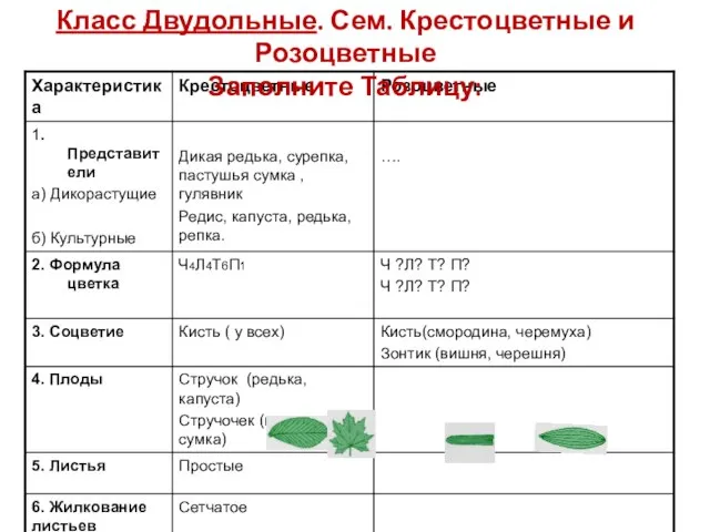 Класс Двудольные. Сем. Крестоцветные и Розоцветные Заполните Таблицу: