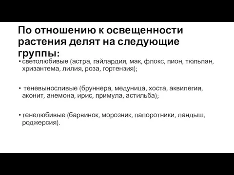 По отношению к освещенности растения делят на следующие группы: светолюбивые (астра,