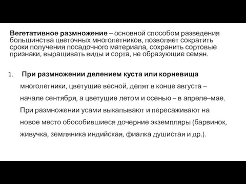 Вегетативное размножение – основной способом разведения большинства цветочных многолетников, позволяет сократить